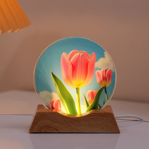 Astronaut Crystal Night Light - Transform Any Room Into a Galaxy ✨