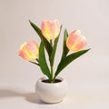 ceramic tulip vase lamp with three glowing stems studio